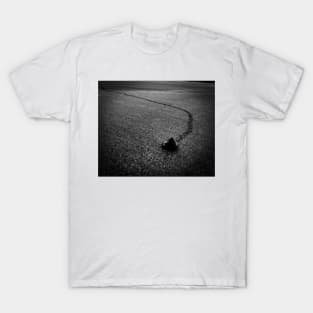 The snail T-Shirt